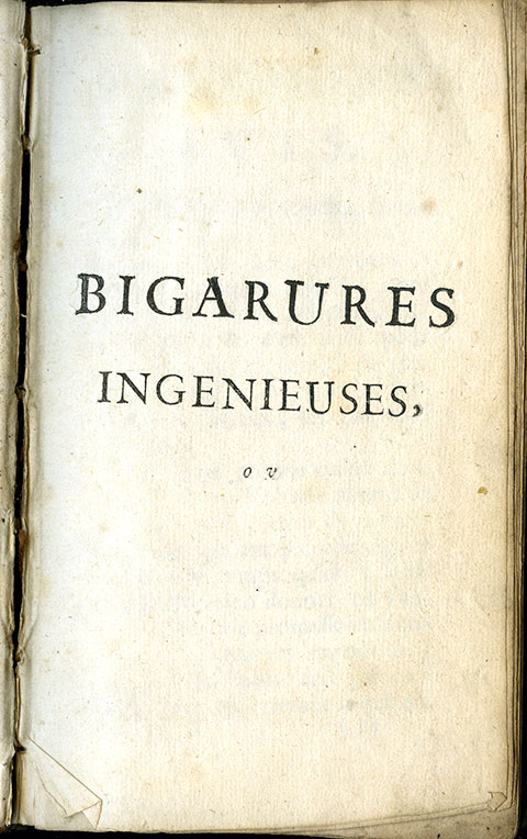 Bigarures-3.jpg