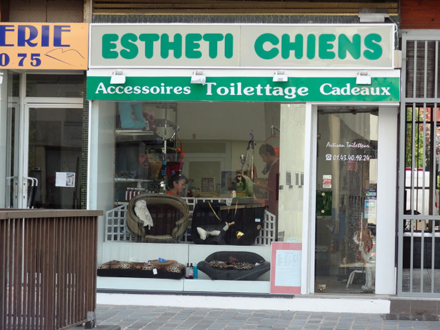 Chien-Estheti.jpg