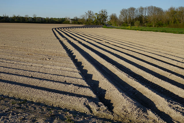 Abreuvoir... Macrosillon1.jpg