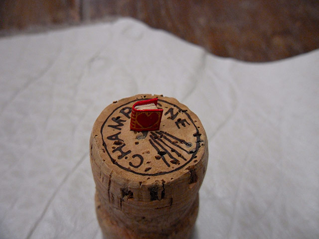 Sur le doigt PlusPetit2.jpg