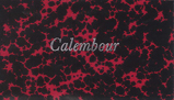 Calembour n° 23