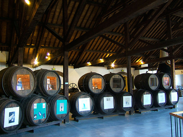 MuseeEpernay04.jpg
