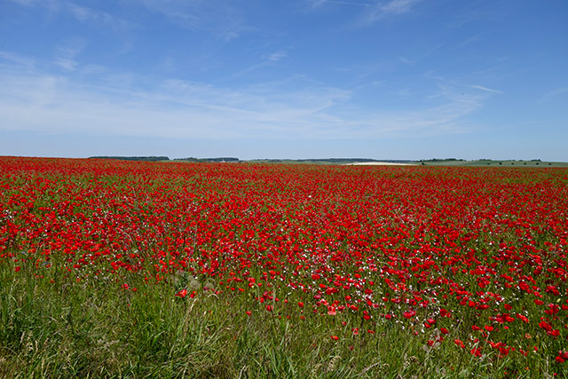 Couleur06.jpg