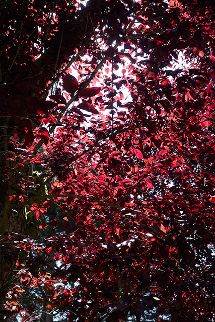 Couleur08.jpg